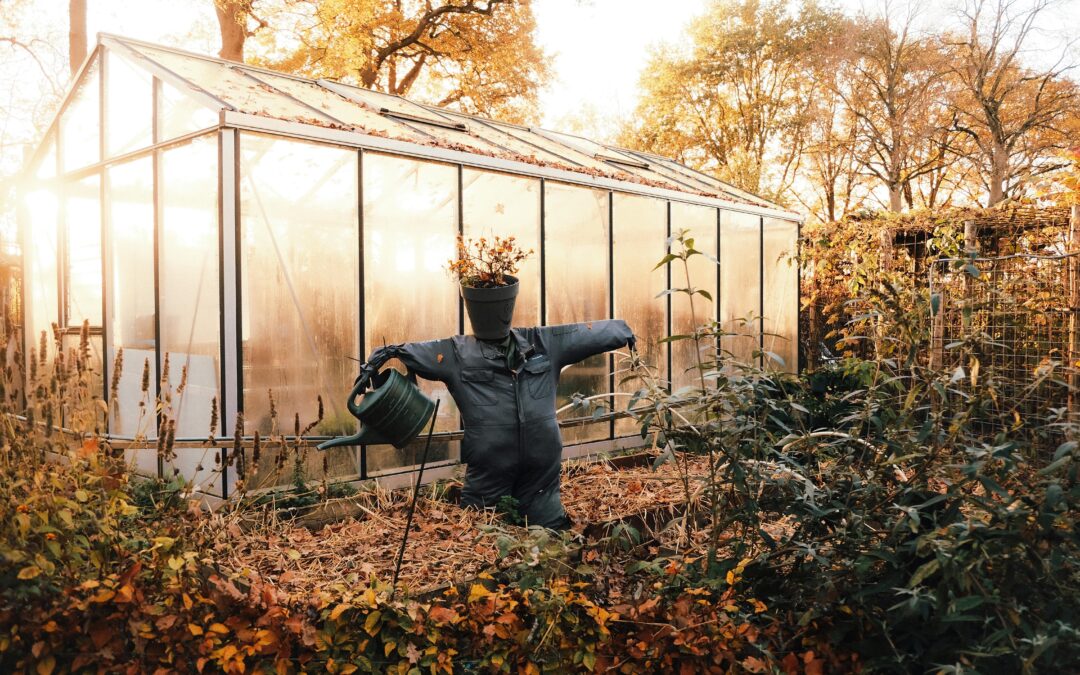 Aanpassen: Overleven door jezelf te verliezen