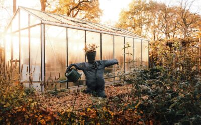 Aanpassen: Overleven door jezelf te verliezen