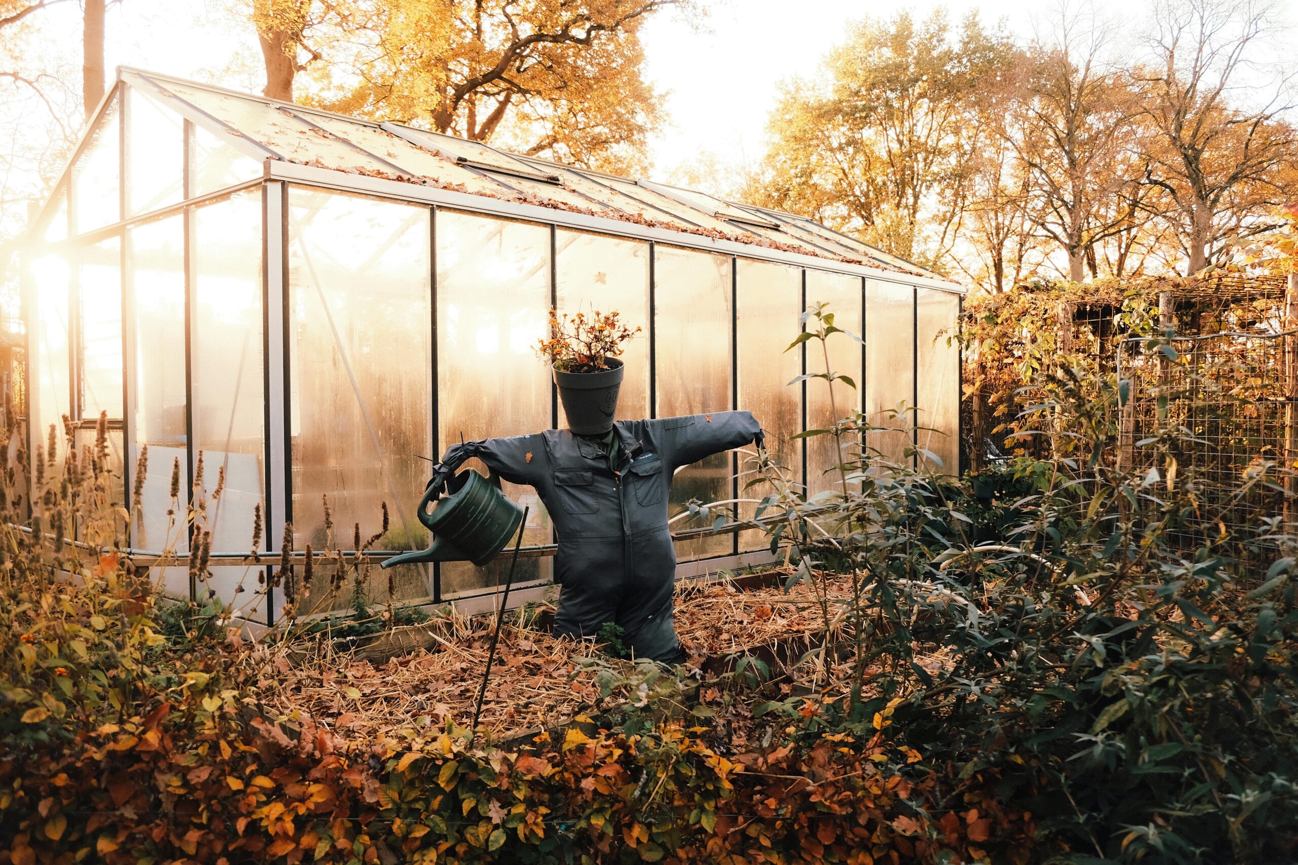 Familieopstelling _jouw plek in het leven